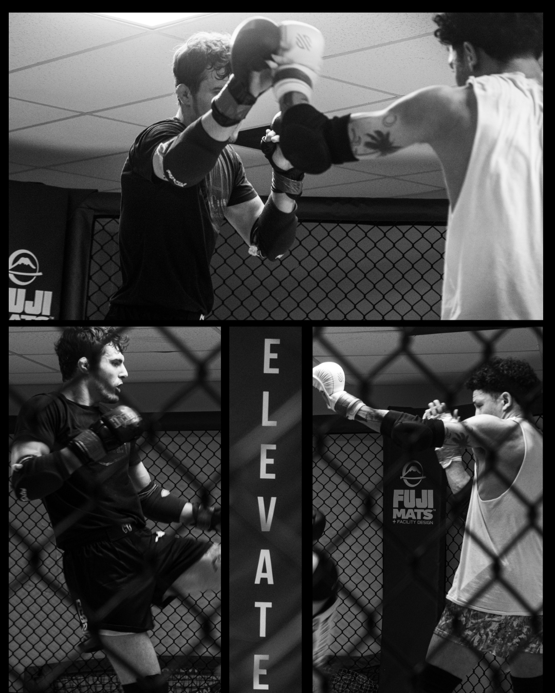 Combat sports photography